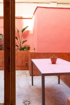 a pink table with a potted plant on it