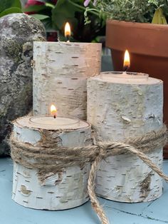 three white birch tree candles with twine and rope wrapped around them on a table next to potted plants