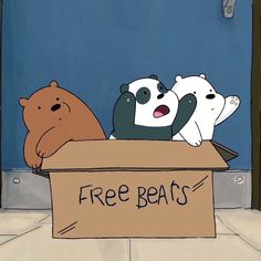 three bears are sitting in a box with the word free beats written on it's side