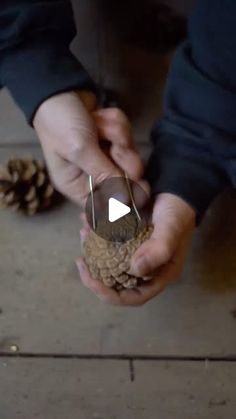 a person holding a pine cone in their hands