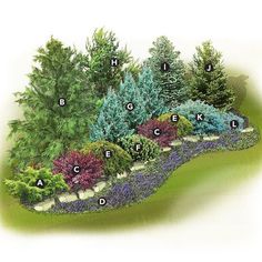 a garden plot with different types of trees and shrubs in the center, along with words on each side