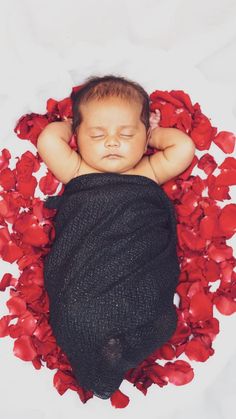 a baby is sleeping in a black wrap surrounded by red petals on a white background