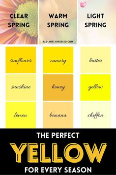 the perfect yellow for every season is in this postcard style poster, which includes four different colors