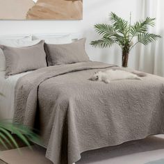 a white dog laying on top of a bed next to a plant