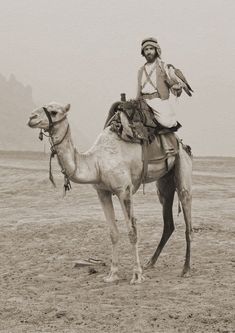 a man sitting on top of a camel in the desert