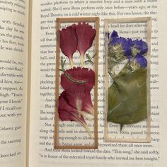 an open book with two pressed flowers in it