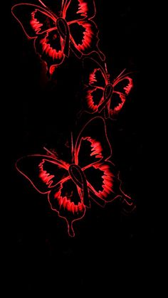 three red butterflies flying in the dark