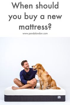 a man sitting on top of a mattress next to a dog with the caption when should you buy a new mattress?