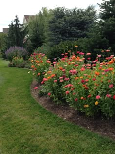 a flower garden with many different colored flowers in the center and green grass around it