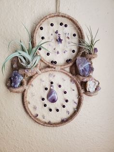 three air plants hanging from the side of a wall next to rocks and other items