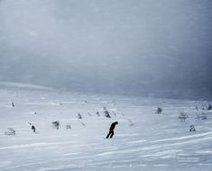 a lone person skiing down a snow covered slope in the distance, with trees on either side