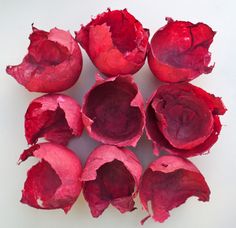 several pieces of red fruit that have been peeled and cut in half on a white surface