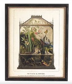 an old framed painting with flowers and plants on it's shelf in a frame