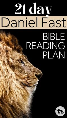 a lion is shown with the words bible reading plan on it's front cover