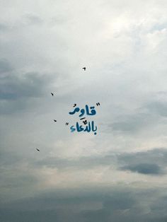 kites flying in the sky with arabic writing on them and birds flying above it