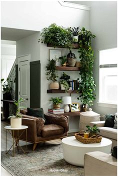 a living room filled with furniture and lots of greenery on the shelves above them