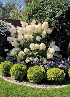 white flowers are in the middle of a garden