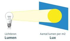 two light bulbs are shown with the same color as their respective ones, one is yellow and the other is blue