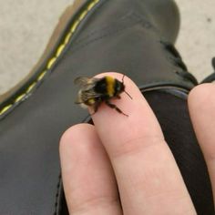 a close up of a person's hand with a bee on their thumb and foot