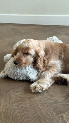 a brown dog laying on top of a white stuffed animal next to a wooden floor