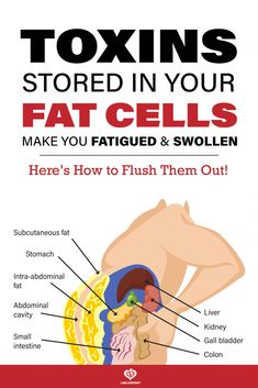 The body stores toxins in fat cells as a coping strategy to get them out of circulation and protect our organs. Here's how to get rid of them. Abdominal Fat, Cleanse Your Body, Colon Cleanse, Coping Strategies, Live Love, Cavities, Skin