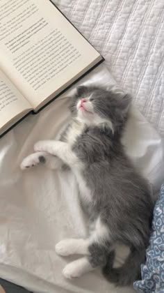 a gray and white cat laying on top of a bed next to an open book