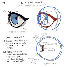 the eye structure is shown in three different ways