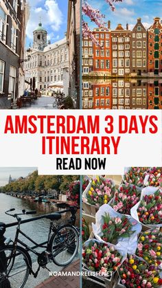 amsterdam 3 days itinerary read now with images of flowers and buildings in the background