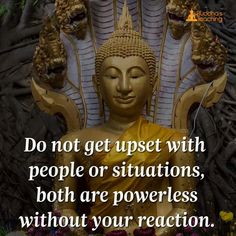 ▪️Very true▪️ Buddha Quotes Inspirational, Buddhism Quote, Buddhist Quotes, Buddha Teachings, Buddha Quote, Buddha Quotes, Good Thoughts, Food For Thought