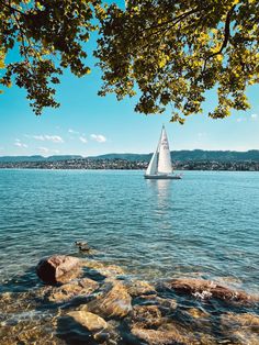 a sailboat on the water with rocks in front of it and trees overhanging