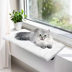 a cat laying on top of a window sill next to a potted plant