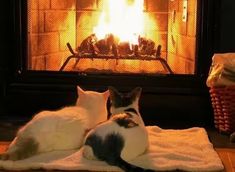 two cats sitting on a blanket in front of a fireplace with the fire burning behind them