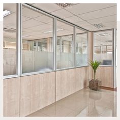 an empty room with glass walls and a potted plant