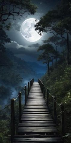 a wooden walkway leading to a full moon in the sky with trees on either side