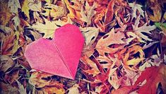 a heart shaped origami piece on the ground surrounded by leaves