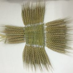 several stalks of wheat laid out on a table