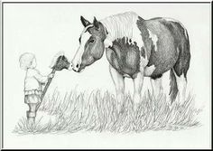 a pencil drawing of a horse and a little boy standing in the grass with their noses to each other