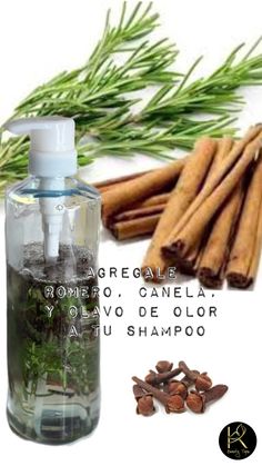 #fyp #foryou #cabello | Karla Carval | Karla Carval · Original audio Herbs For Hair, Hair Challenge, Aloe Vera For Hair, Natural Hair Care Tips, Healthy Natural Hair, Natural Hair Braids, Natural Hair Growth