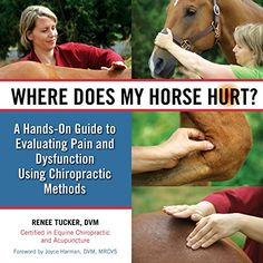 the book where does my horse hurt?