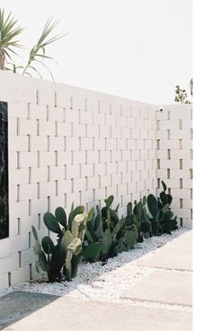 there is a white brick wall with cactus in the corner and writing on the window