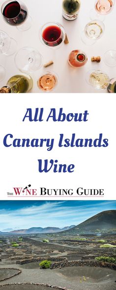 the wine buying guide for all about canary islands wine