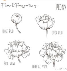 four different types of flowers with the words floral progreatives written in black and white