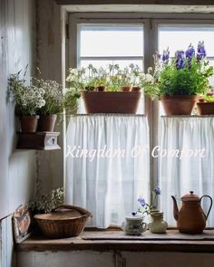 the window sill is filled with potted plants