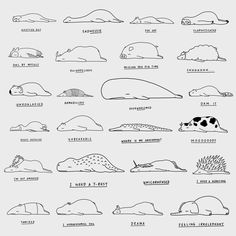 the different types of animals that can be seen in this graphic art printable poster