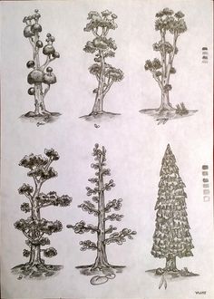 Drawing of different trees with a focus on shading the foliage and trees dimensions, trying variety of foliage is fun to practice. Different Trees, Foliage Leaves, Pencil Shading, Pencil, How To Apply, Bring It On