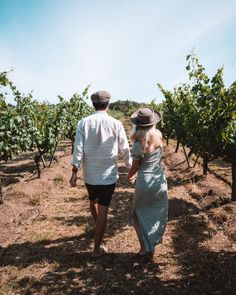 a man and woman walking through an orchard holding hands in front of rows of vines