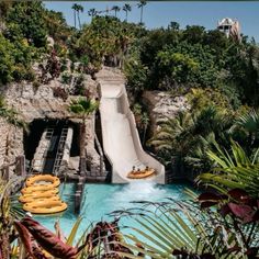 a water slide in the middle of some trees