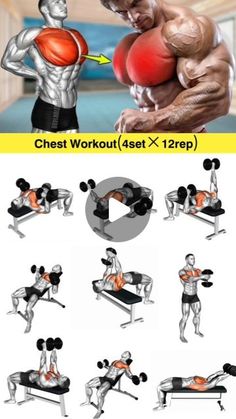 the chest workout is shown in this image and shows how to do it with dumbs