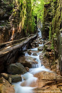 a small waterfall running through a lush green forest