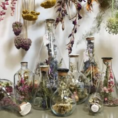 several glass vases filled with different types of flowers and plants hanging from the ceiling